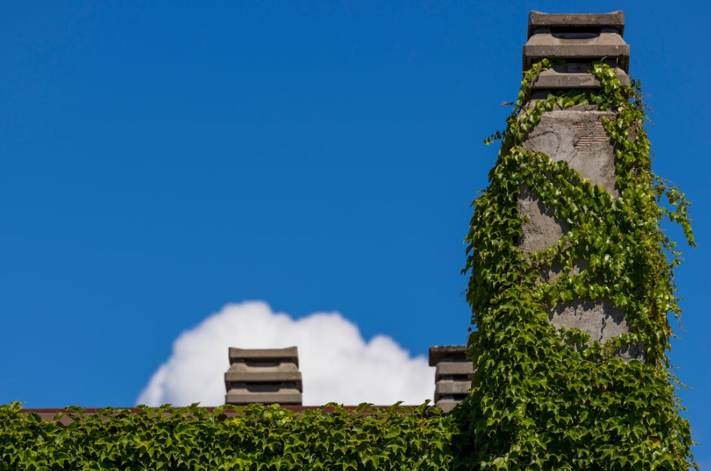 Chimneys
