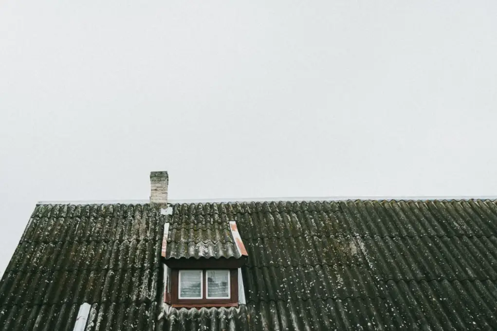 hail damage roof